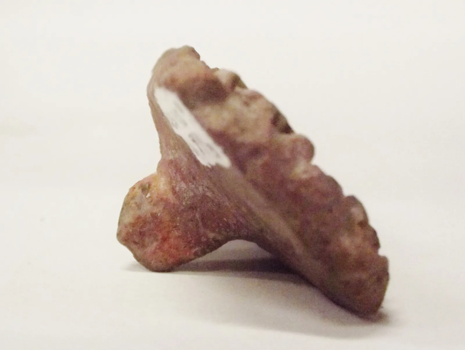 Sello de barro cocido