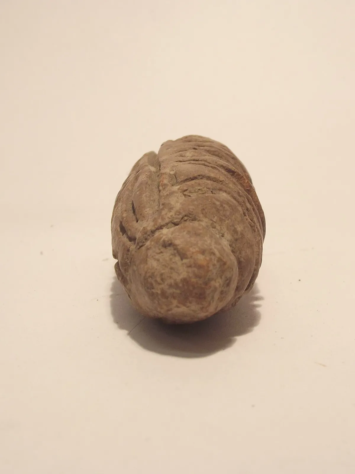 Sello de barro cocido