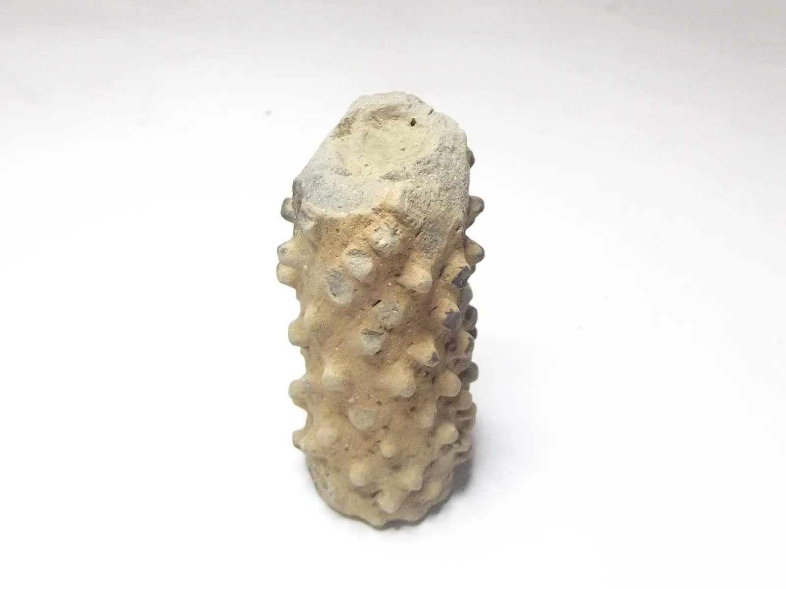 Sello de barro cocido