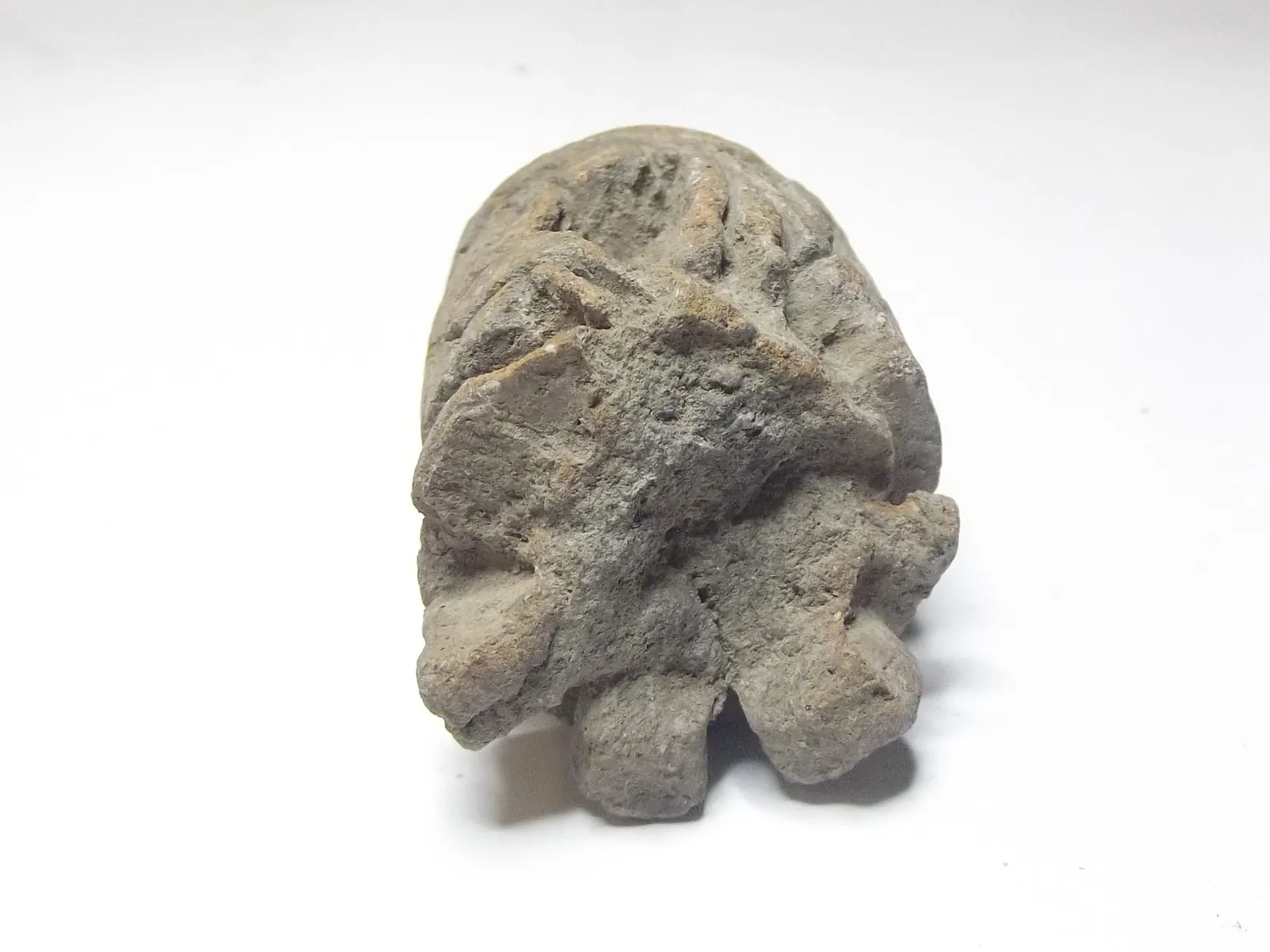 Sello de barro cocido