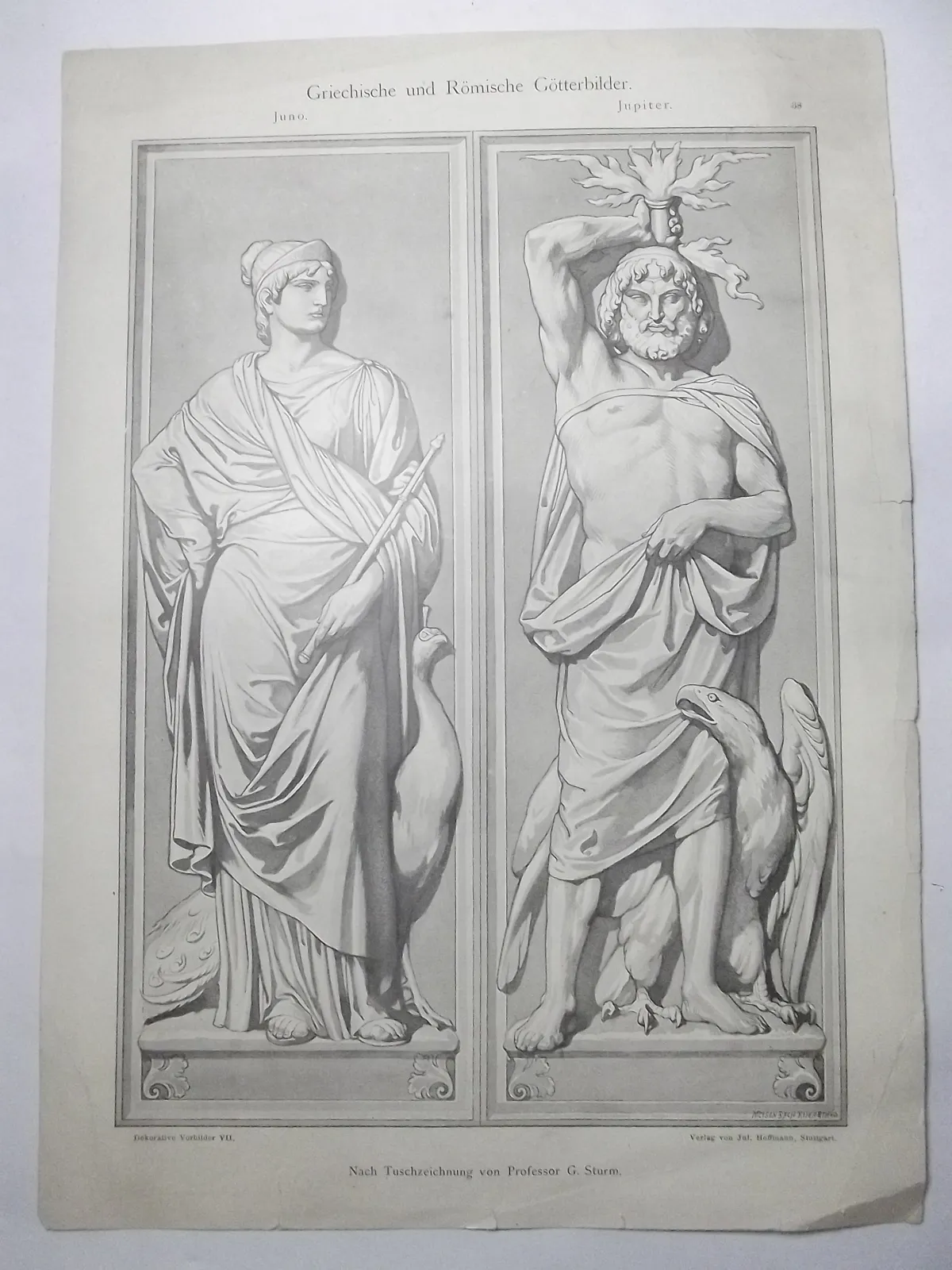 Impreso en cartón delgado