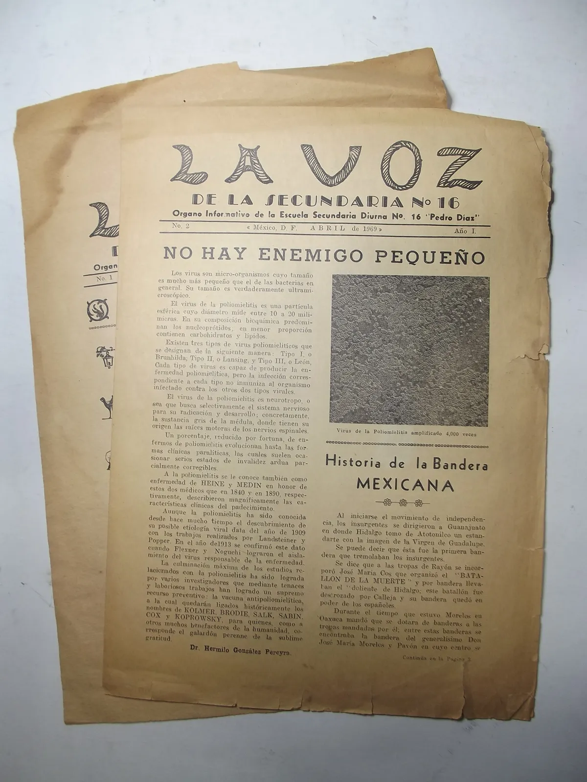 Impreso en papel