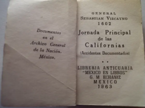 Libro miniatura