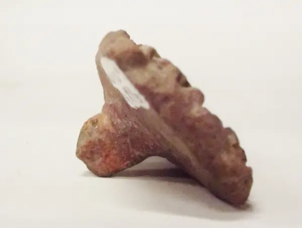 Sello de barro cocido