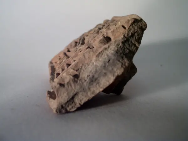 Sello de barro cocido