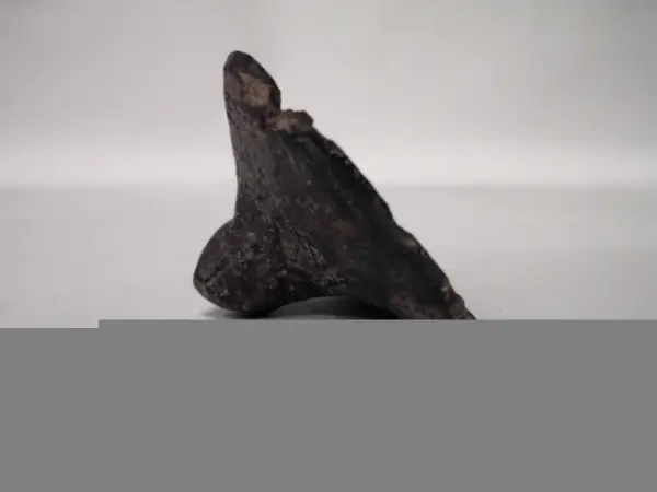Sello de barro cocido