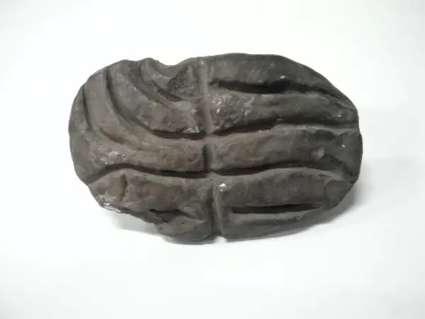Sello de barro cocido