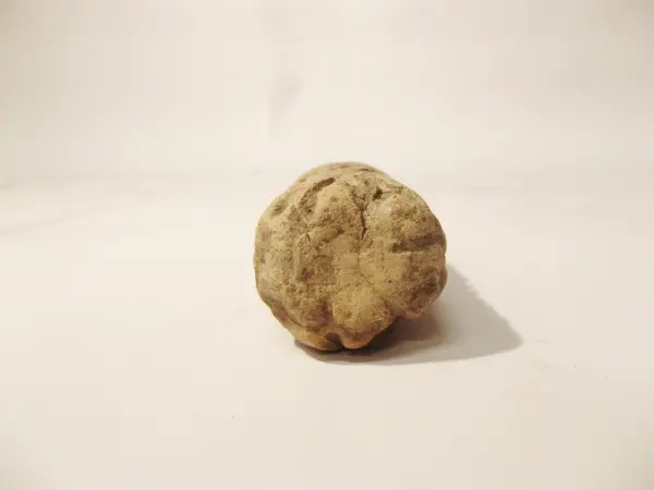 Sello de barro cocido