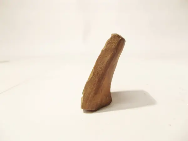 Sello de barro cocido