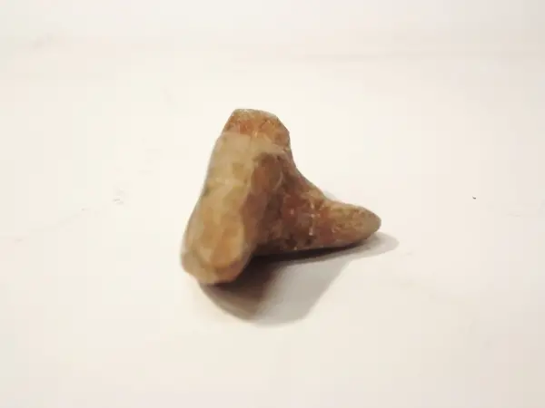 Sello de barro cocido