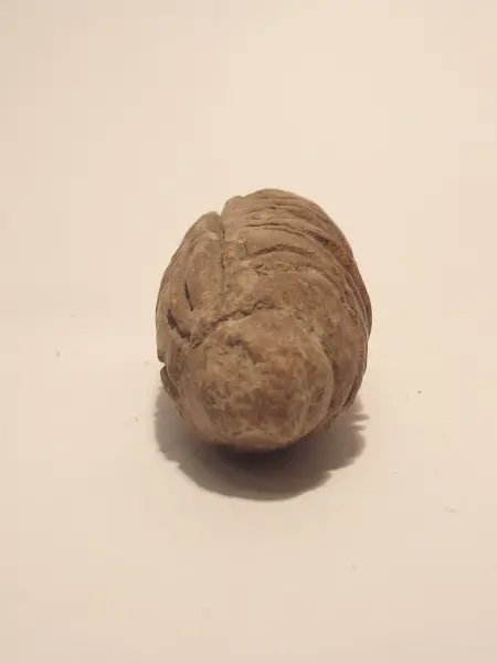 Sello de barro cocido
