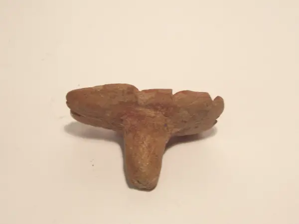 Sello de barro cocido