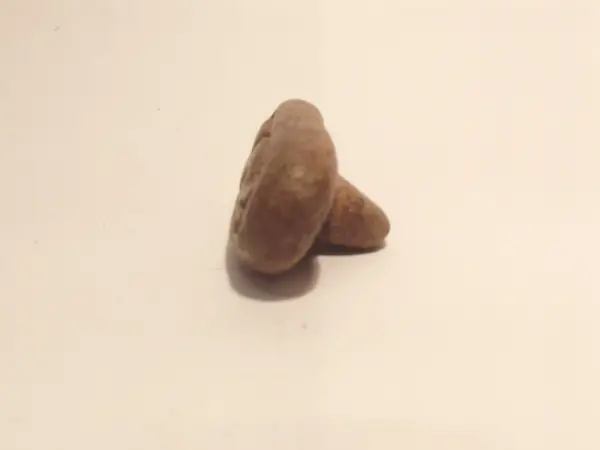 Sello de barro cocido