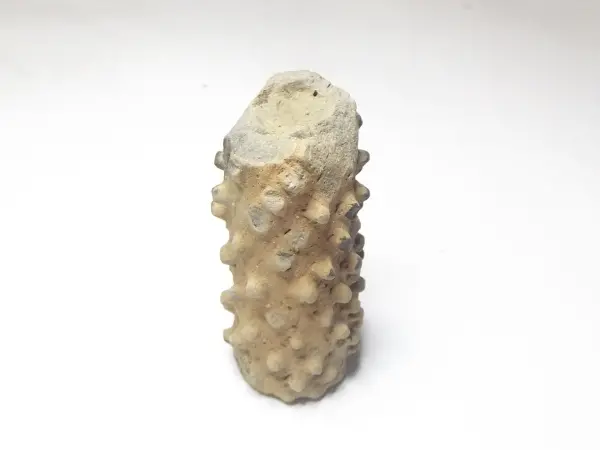 Sello de barro cocido