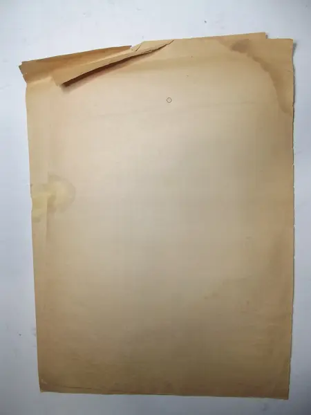 Impreso en papel