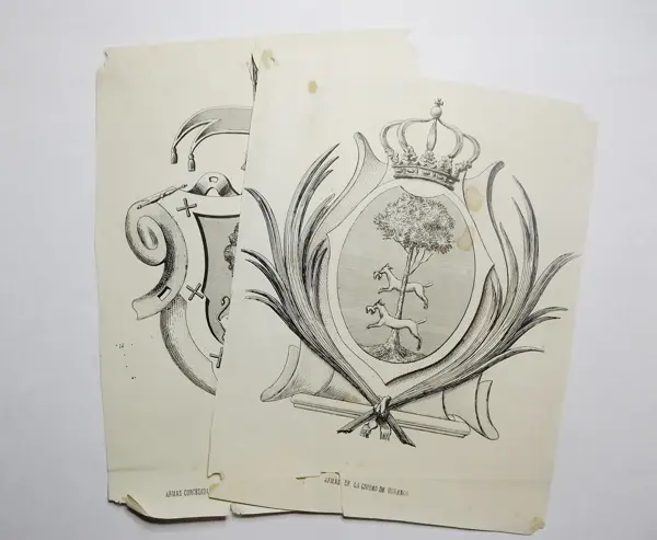 Impreso en papel